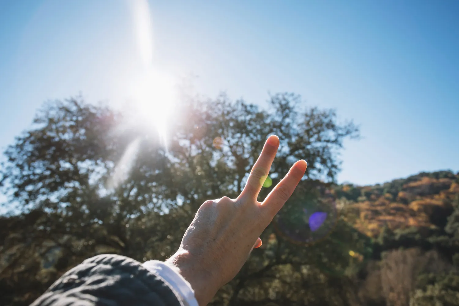 The Role of Direct Sunlight