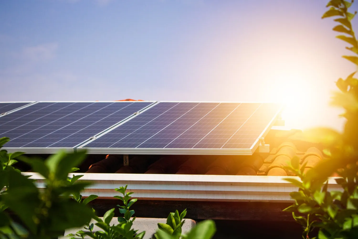 solar grants bc
